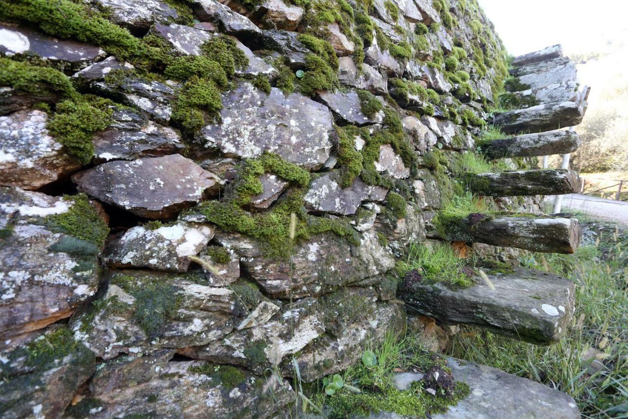 Гостевой дом Molino Del Rotone Buti Экстерьер фото